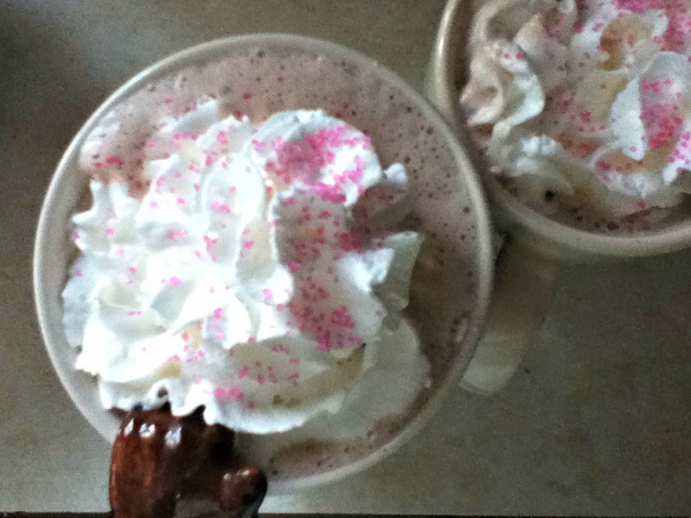 The only way to end a snow day...cocoa with whipped cream and pink sprinkles.